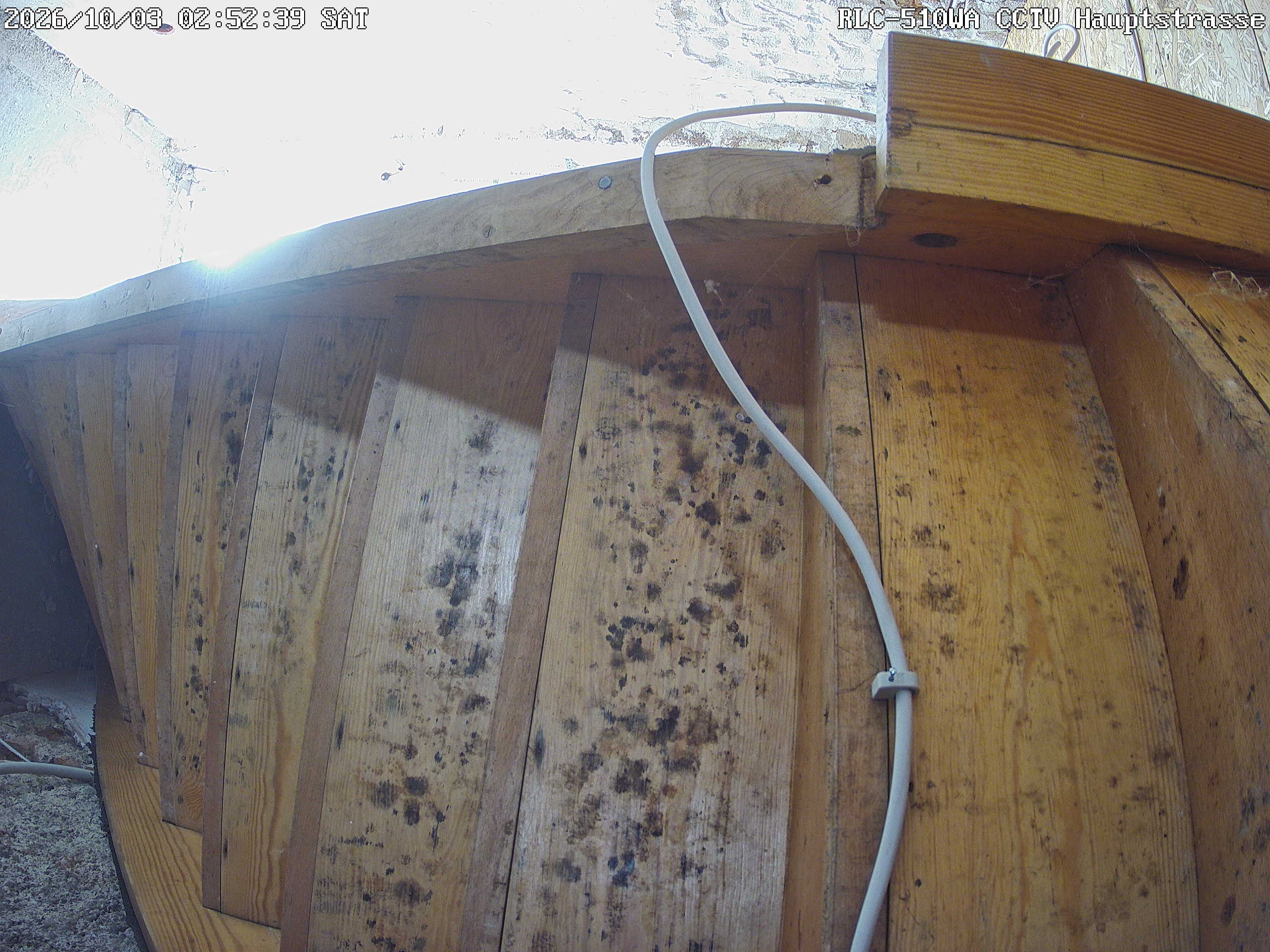 RLC-510WA CCTV Hauptstrasse_00_20261003025239.jpg